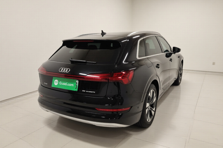 奥迪e-tron(进口) 2019款 55 quattro 技术型车身外观7