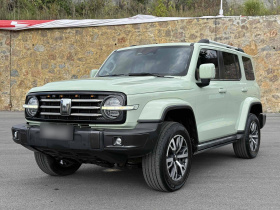 坦克300 2021款 城市版 2.0T 很有型