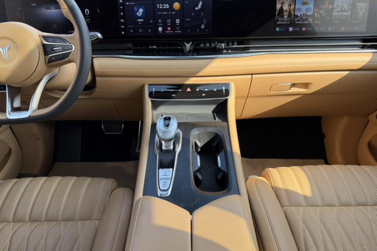 岚图汽车 岚图梦想家 2022款 低碳版 梦+智享包局部细节18