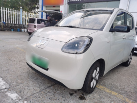 五菱汽车 宏光MINIEV 2024款 第三代 215km 进阶版