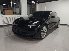 特斯拉 Model 3 2019款 标准续航后驱升级版