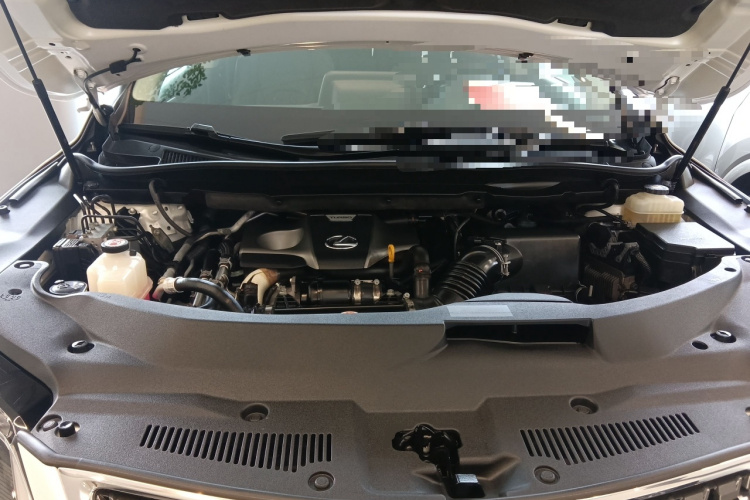 雷克萨斯RX 2020款 300 四驱典雅版 国VI机舱底盘24