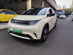 比亚迪 海豚 2023款 420km 时尚版