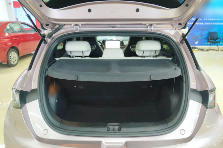 比亚迪 海豚 2021款 405km 时尚版机舱底盘23