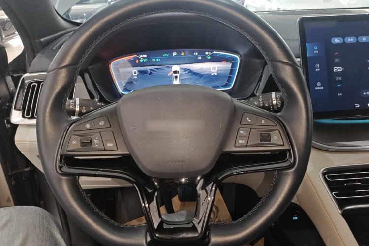 比亚迪 宋PLUS新能源 2023款 冠军版 DM-i 110KM 旗舰型局部细节13