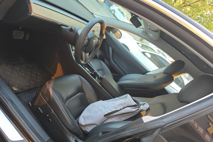 特斯拉 Model 3 2020款 改款 标准续航后驱升级版中控内饰19