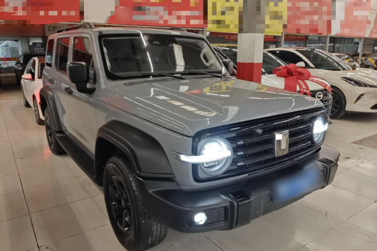 坦克300 2024款 2.0T 挑战者车身外观6002