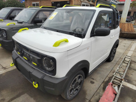 吉利银河 2025款 210km 熊猫骑士