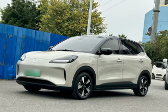 五菱汽车 五菱缤果PLUS 2024款 330km 五座版