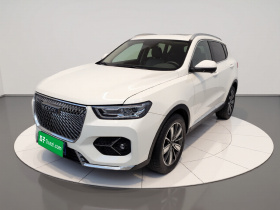 哈弗H6 2021款 2.0GDIT 自动冠军版