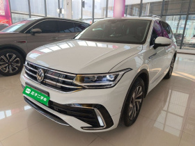 大众 途观L新能源 2023款 430PHEV 插电混动尊贵版