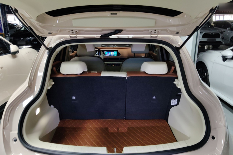 欧拉好猫 2022款 400km标准续航 豪华型 磷酸铁锂机舱底盘23