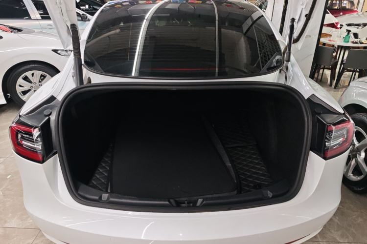 特斯拉 Model 3 2021款 改款 标准续航后驱升级版 3D1局部细节23