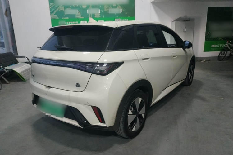 比亚迪 海豚 2023款 420km 时尚版车身外观6005