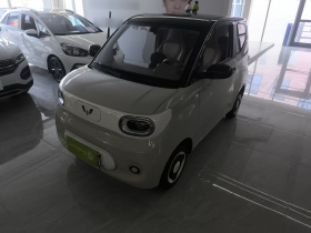 五菱汽车 宏光MINIEV 2024款 第三代 215km 青春版