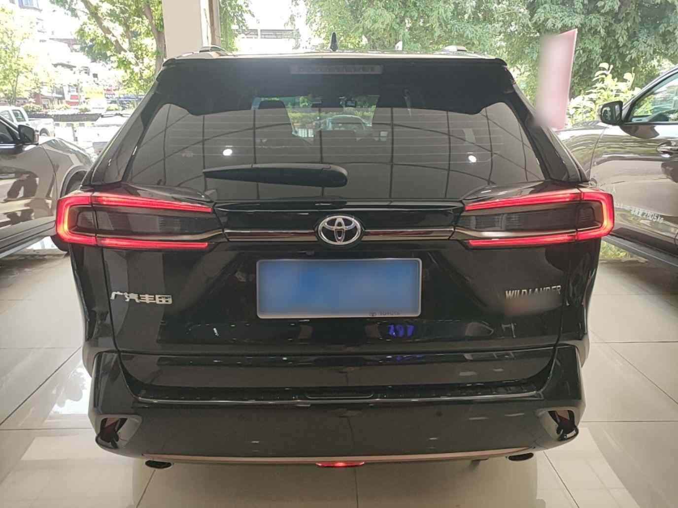 丰田 威兰达 2024款 2.0L CVT两驱豪华PLUS版(4)