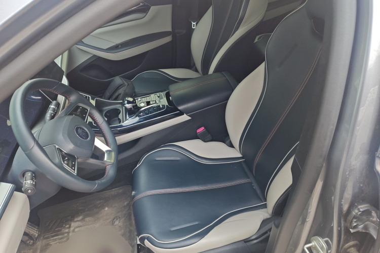 比亚迪 秦PLUS 2021款 DM-i 55KM 旗舰型局部细节19