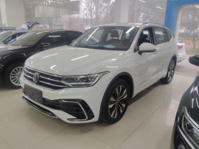 大众 途观L 2024款 出众款 330TSI 自动两驱R-Line龙耀版