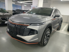 哈弗神兽 2023款 1.5T 智享版