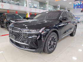 林肯 航海家 2023款 2.0T 四驱尊享版