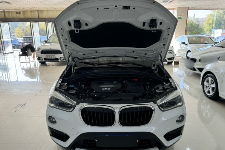 宝马X1 2018款 xDrive20Li 尊享型车身外观6012