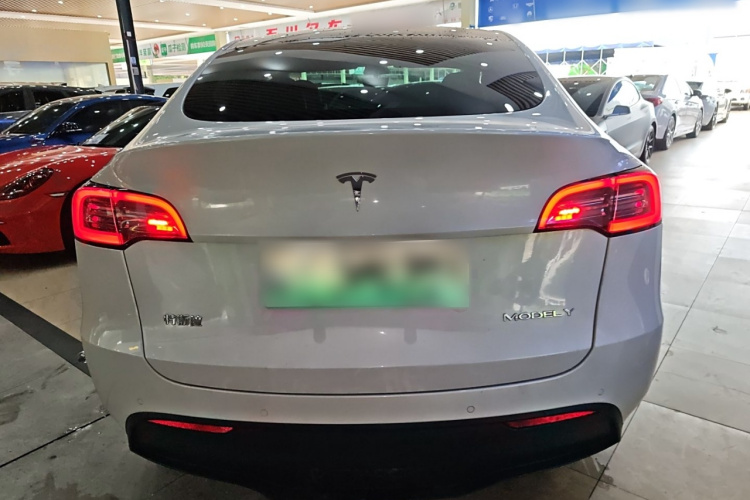 特斯拉 Model Y 2021款 长续航全轮驱动版车身外观6