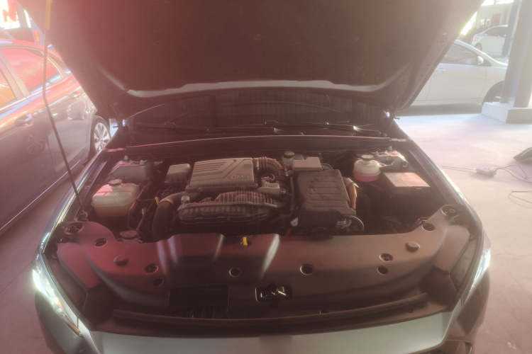 比亚迪 秦PLUS 2023款 冠军版 DM-i 55KM领先型机舱底盘24