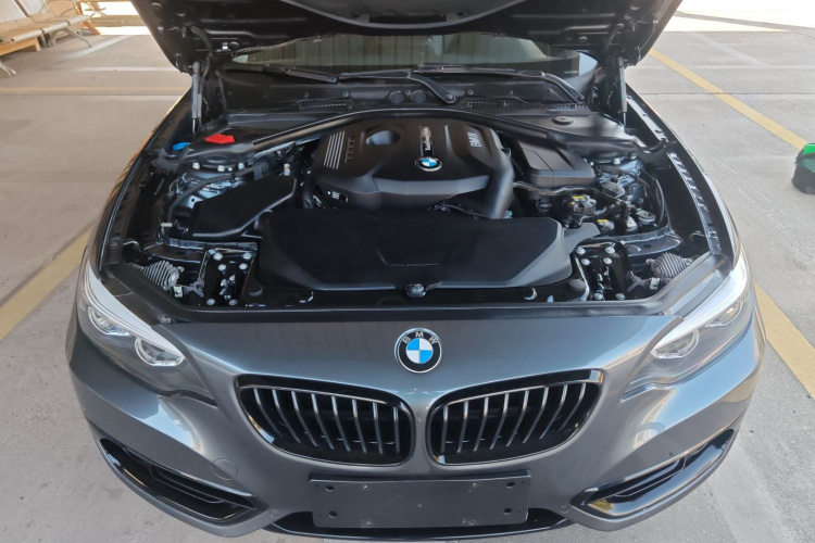 宝马2系(进口) 2019款 225i 运动设计套装机舱底盘24