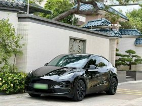 特斯拉 Model Y 2021款 标准续航后驱版