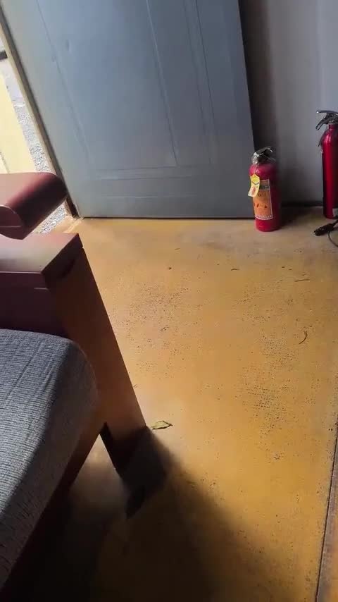 领克02 2018款 1.5T DCT两驱劲Pro版 国V讲解2