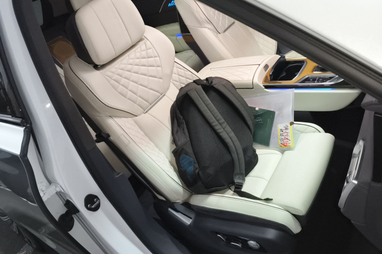 红旗E-HS9 2021款 510km 旗领版 四座局部细节41