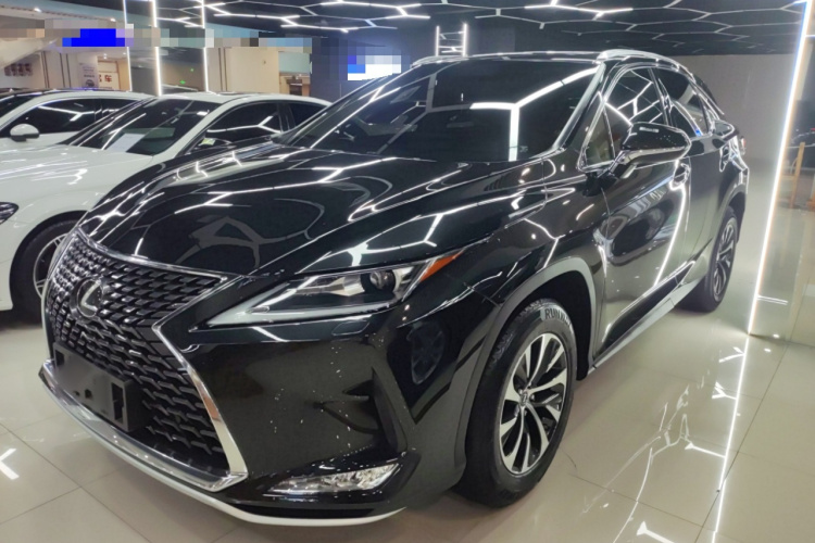 雷克萨斯RX 2020款 300 两驱精英版 国VI车身外观1