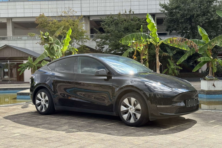 特斯拉 Model Y 2021款 标准续航后驱版车身外观6008