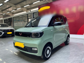 五菱汽车 宏光MINIEV 2021款 马卡龙时尚款 磷酸铁锂