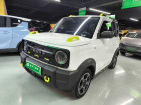 吉利银河 2024款 200km 熊猫骑士