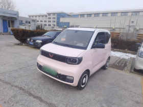 五菱汽车 宏光MINIEV 2021款 马卡龙臻享款 三元锂