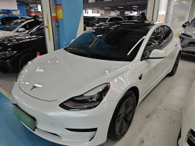 特斯拉 Model 3 2020款 改款 标准续航后驱升级版