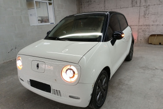 欧拉黑猫 2021款 351km 标准型