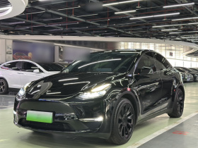 特斯拉 Model Y 2021款 标准续航后驱版
