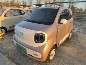 奔腾小马 2026款 222km 闪耀马