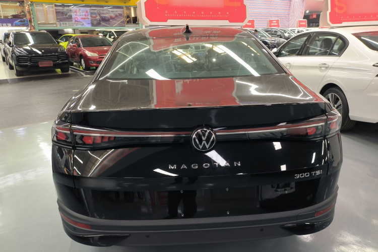 大众 迈腾 2024款 300TSI DSG尊享版车身外观6004