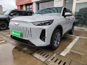 奇瑞 风云T9 2024款 120 长续航版标准型 5座 三元锂