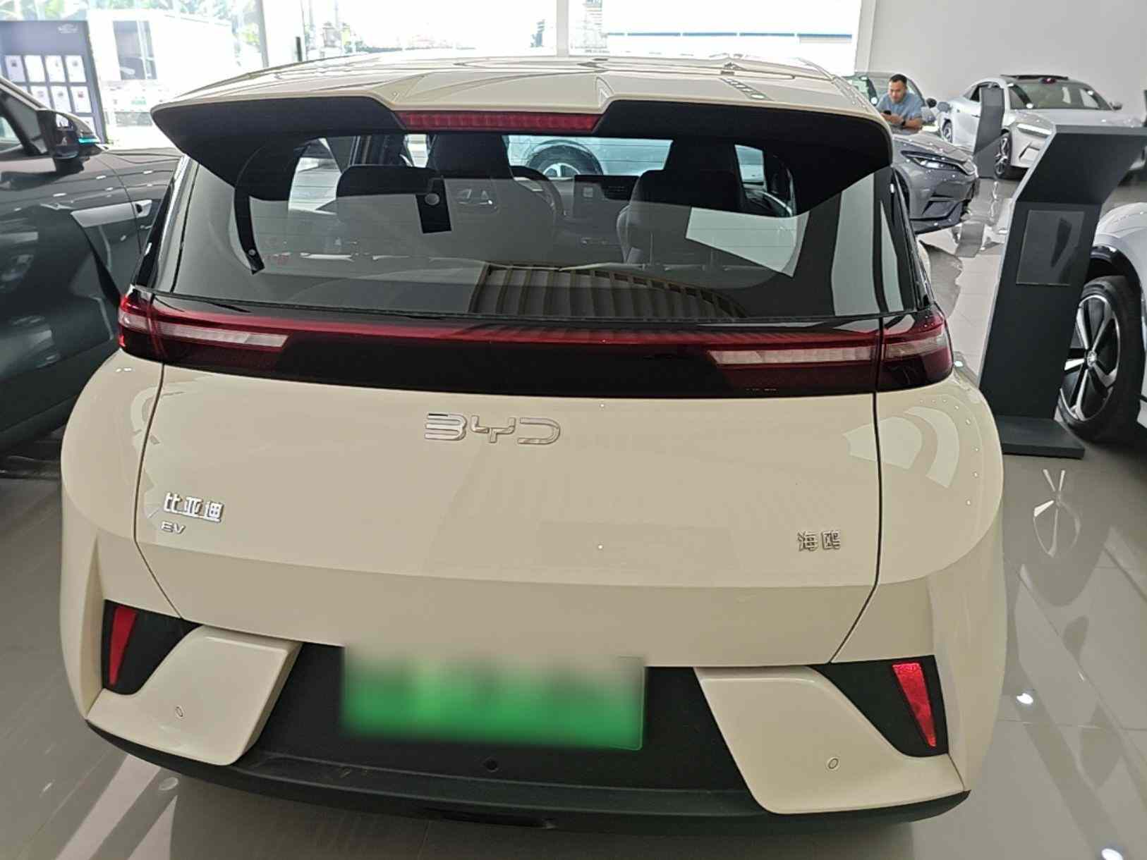 比亚迪 海鸥 2025款 智驾版 305km 活力版(3)