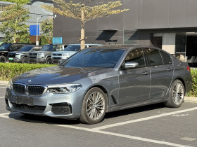 宝马5系(进口) 2020款 530i M运动套装