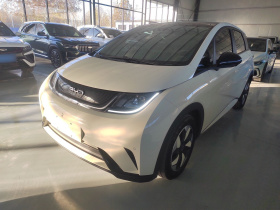 比亚迪 海豚 2024款 荣耀版 420km 时尚版