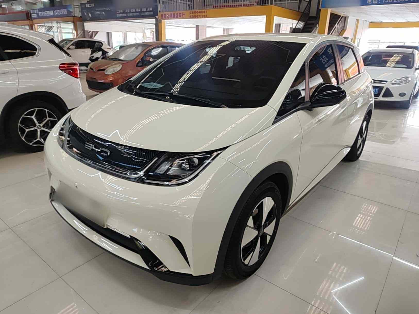 比亚迪 海豚 2023款 420km 自由版(2)