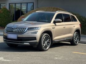 斯柯达 柯迪亚克 2019款 改款 TSI330 7座两驱豪华优享版 国VI