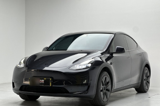 特斯拉 Model Y 2024款 后轮驱动版