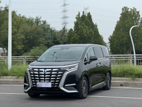 腾势D9 2022款 DM-i 970 四驱旗舰型