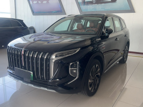红旗HS7 PHEV 2024款 2.0T PHEV 四驱旗畅版 7座